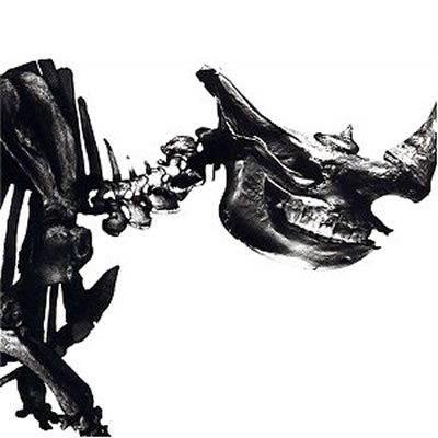 Mr.Children 1996-2000 : Mr.Children | HMV&BOOKS online - TFCC-88181