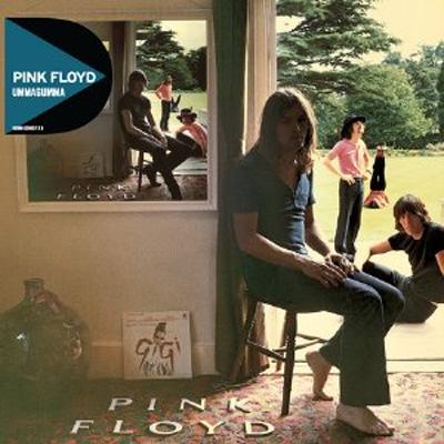 Ummagumma : Pink Floyd | HMV&BOOKS online - TOCP-71134/5