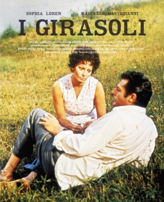 I Girasoli | HMV&BOOKS online : Online Shopping & Information Site