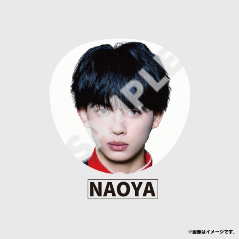 Big うちわ【ONE N' ONLY（NAOYA）】 / EBiDAN THE LIVE HOTEL NINE