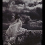 忘れない日々 : MISIA | HMV&BOOKS online - BVCS-29016