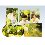 美しい彼 シーズン2 ＆ ～special edit version～』Blu-ray＆DVD BOX