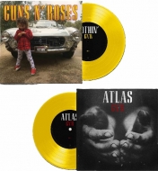 レコード｜Guns N' Roses (ガンズ・アンド・ローゼズ)｜商品一覧