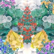 Novelbright｜HMV&BOOKS online