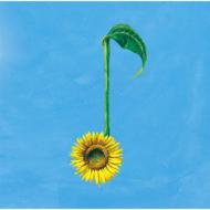 CDシングル｜Aqua Timez｜商品一覧｜HMV&BOOKS online