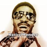 Wonder Of Stevie : Dj Spinna / Bobbito | HMV&BOOKS online - HURTCD051