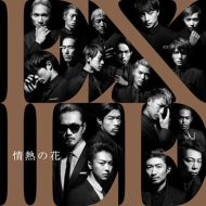 EXILE TRIBE PERFECT YEAR LIVE TOUR TOWER OF WISH 2014 ～THE