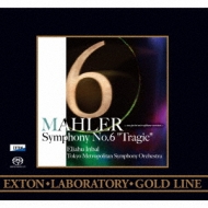 交響曲第6番『悲劇的』 インバル＆東京都交響楽団（2013）（ワン