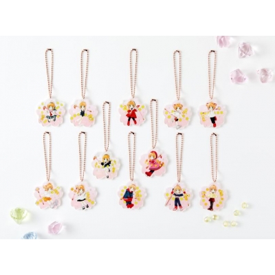 カードキャプターさくら クリアカード編 14 さくらちゃん懐かし