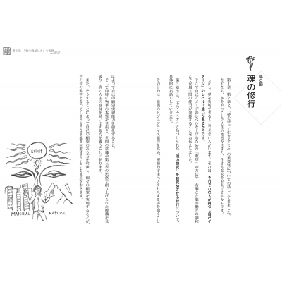 真・魂の飛ばし方 魂の視覚を鍛えれば、夢はすべて叶う タマエミチ願望