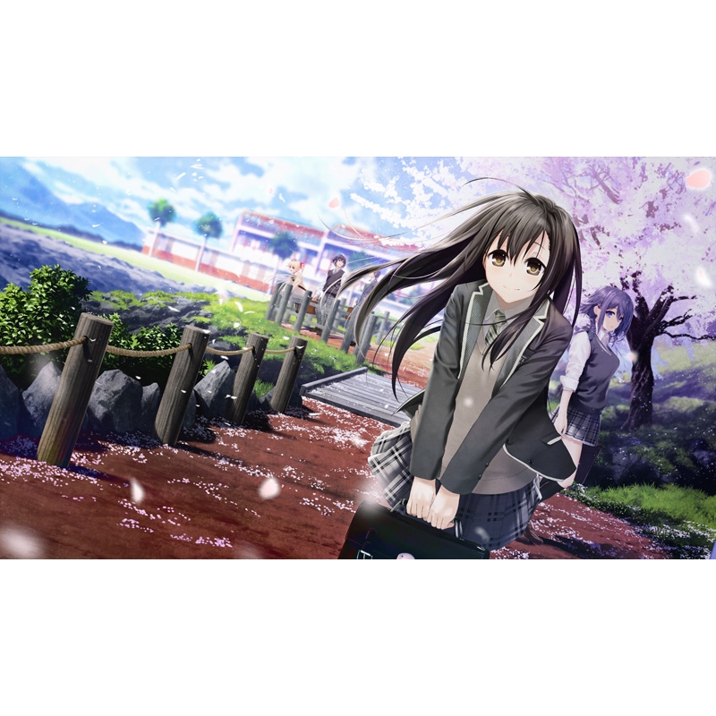 Re:LieF ～親愛なるあなたへ～FoR SwitcH 通常版 : Game Soft