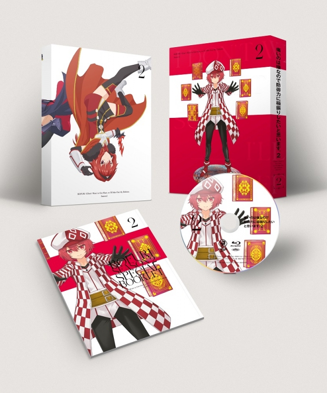 痛いのは嫌なので防御力に極振りしたいと思います。2 第2巻【Blu-ray