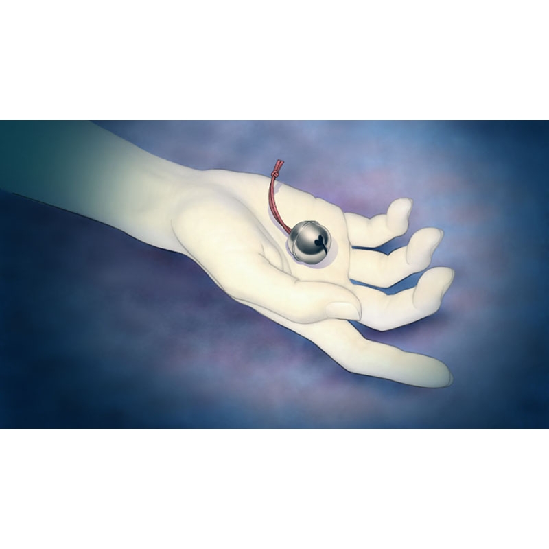 Ever 17 /Never 7 Double Pack 限定版 : Game Soft (Nintendo Switch