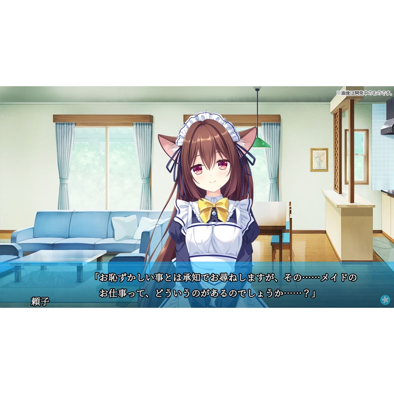 D.C.Re:tune ～ダ・カーポ～リチューン 通常版 : Game Soft (Nintendo