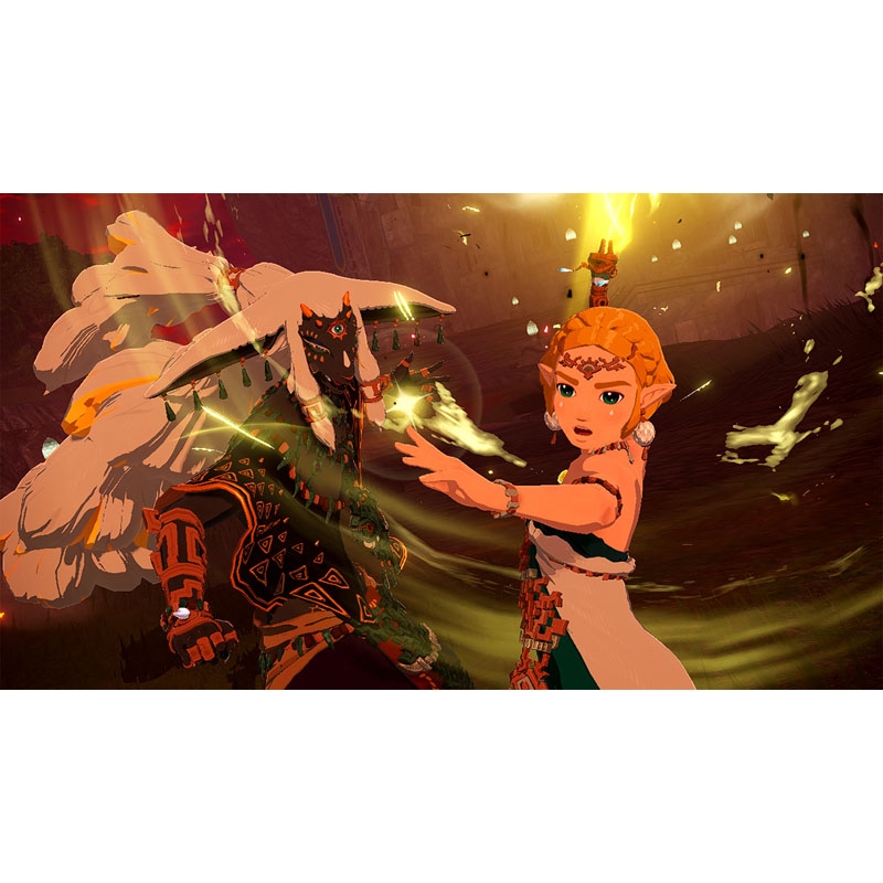 ゼルダ無双 封印戦記 TREASURE BOX : Game Soft (Nintendo Switch 2