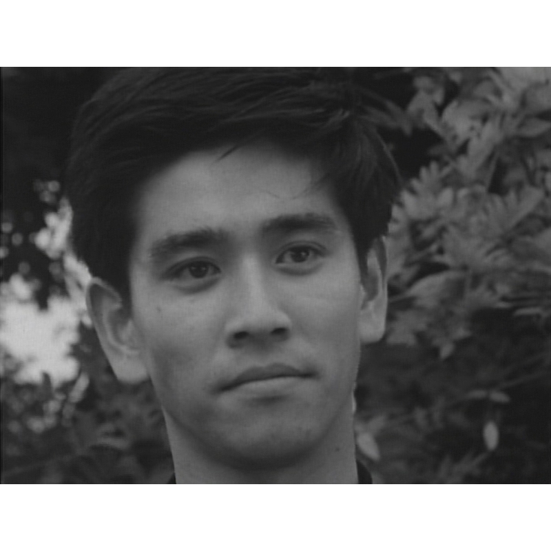 昭和の名作ライブラリー 第44集 平四郎危機一発 コレクターズDVD