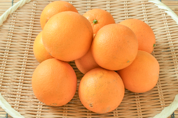 ネーブルオレンジ（中） ユーザーレビュー一覧 【業務用食材の仕入れ