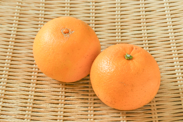 紅ネーブルオレンジ（4L） 【業務用食材の仕入れなら八面六臂】