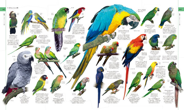 地球博物学大図鑑 新訂版 スミソニアン協会(監修) - 東京書籍 | 版元