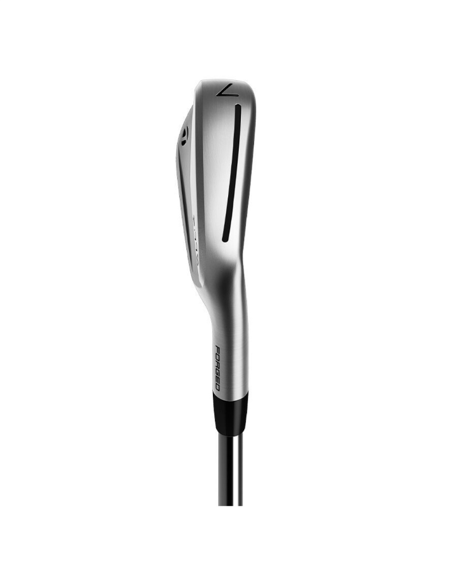 テーラーメイド(TaylorMade) アイアンセット 6本組 P770 アイアン
