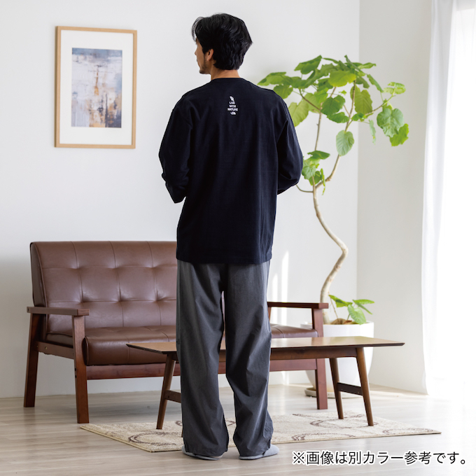 Tシャツ 長袖 LS ZOO PICKER TEE NT32533-SP 【国内正規品