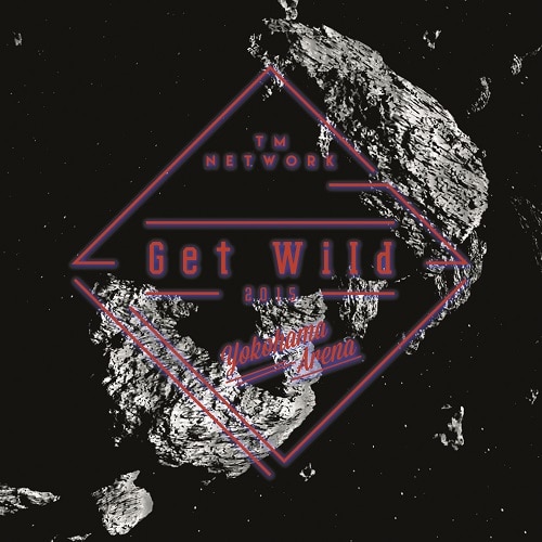 Get Wild 2015 | リリース | エイベックス・ポータル