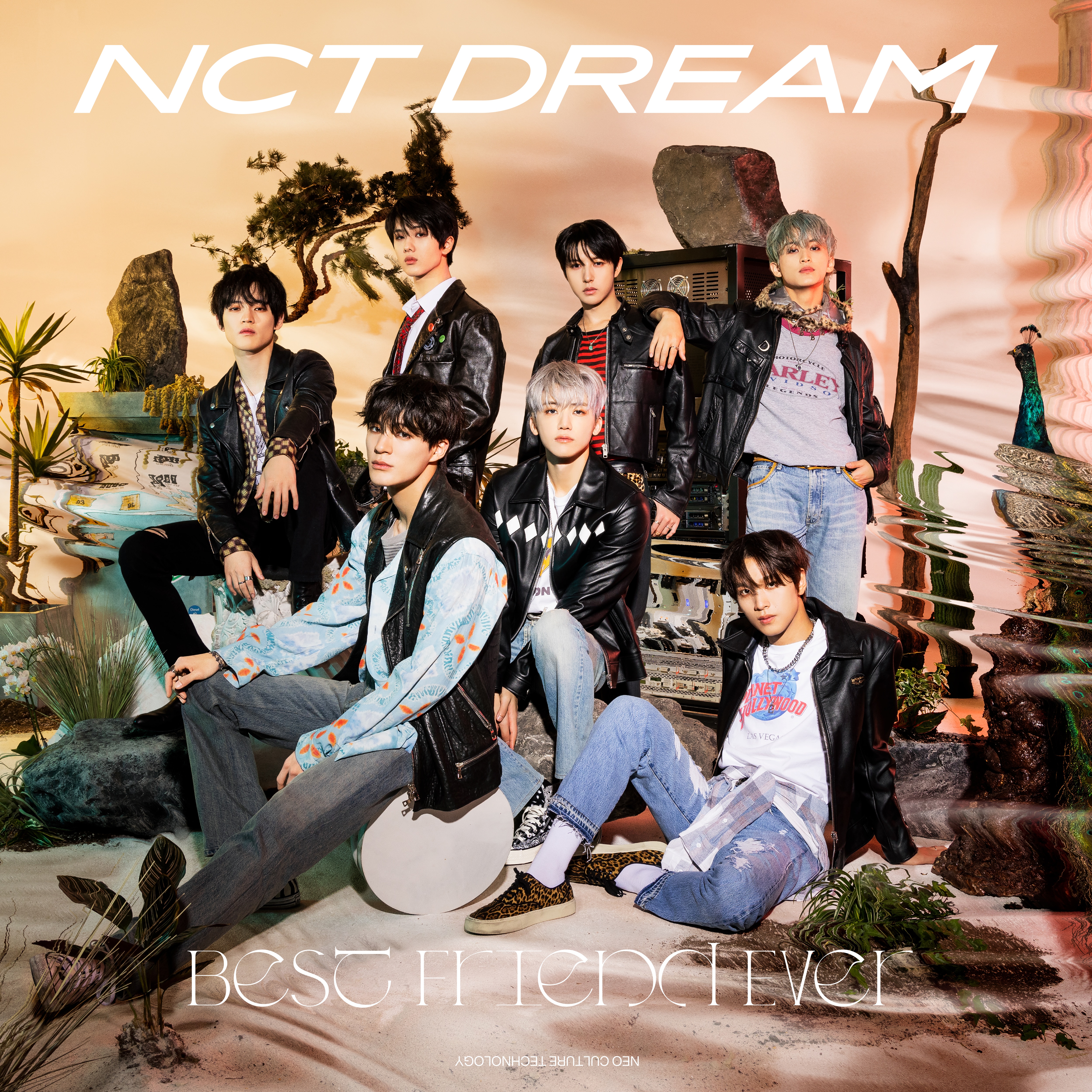 DISCOGRAPHY | NCT（エヌシーティー） Website