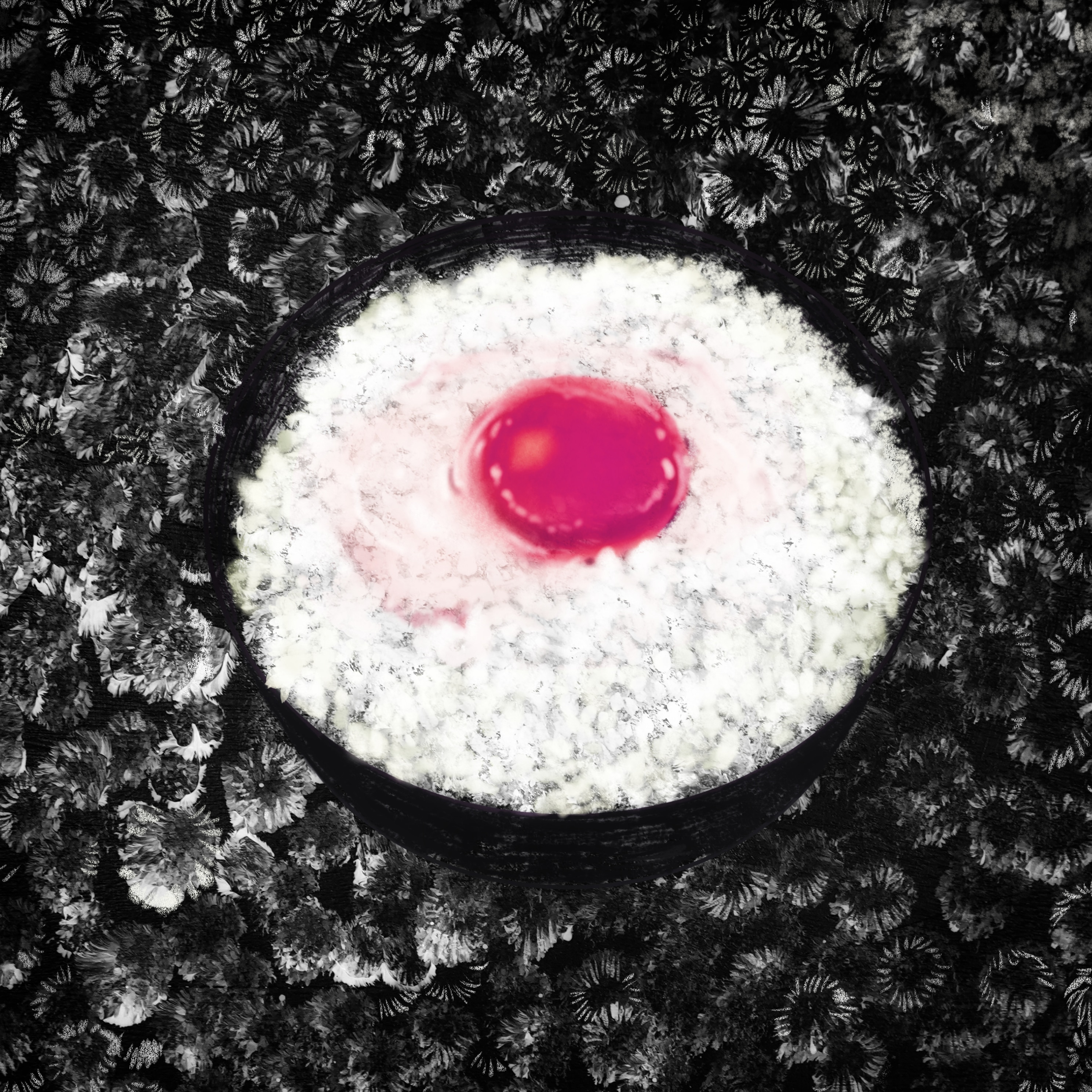 大森靖子 | ディスコグラフィー | 大森靖子 | アーティスト・作品