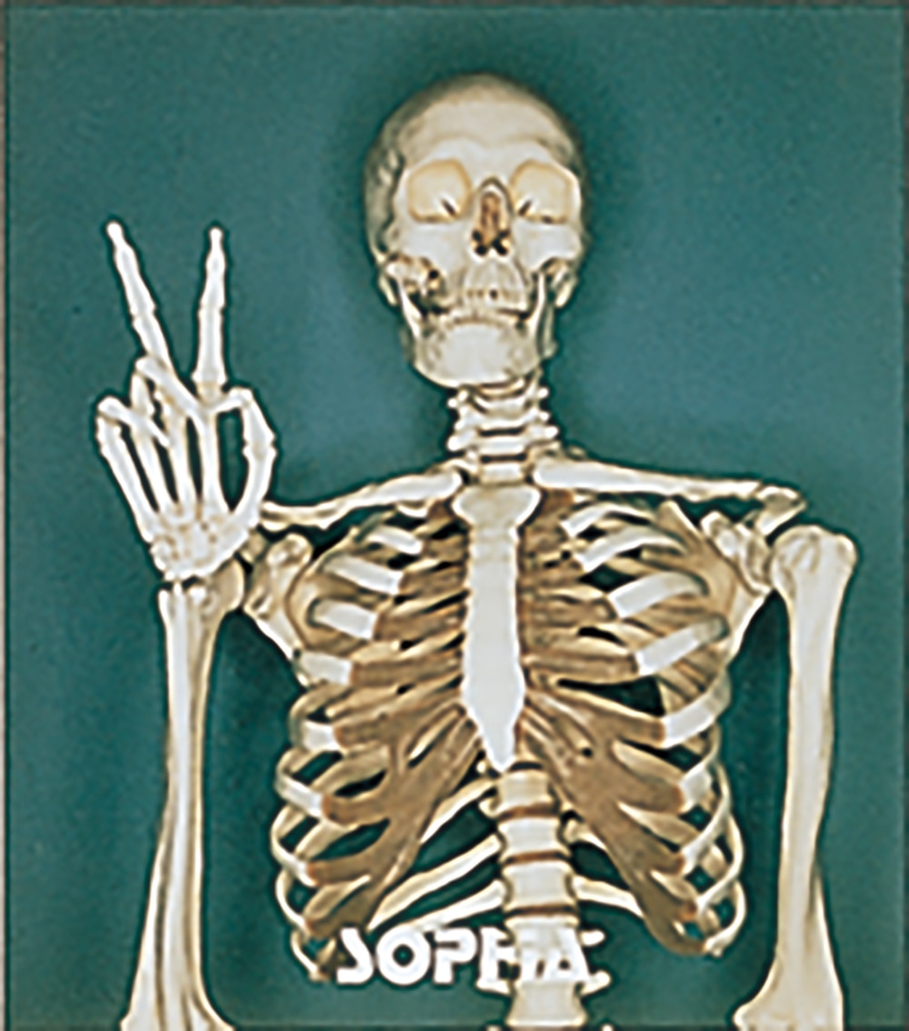 進化論 ~GOOD MORNING! -HELLO! 21st-CENTURY~ | ディスコグラフィー