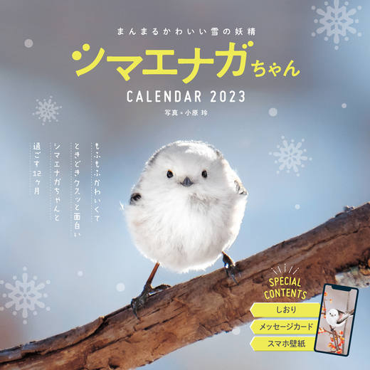 まんまるかわいい雪の妖精 シマエナガちゃん CALENDAR 2023
