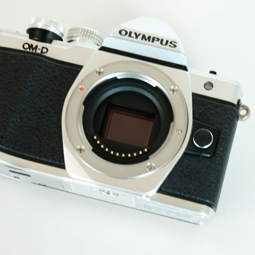 OLYMPUS OM-D E-M10 Mark IIの出品 | ONE SCENE（ワンシーン）