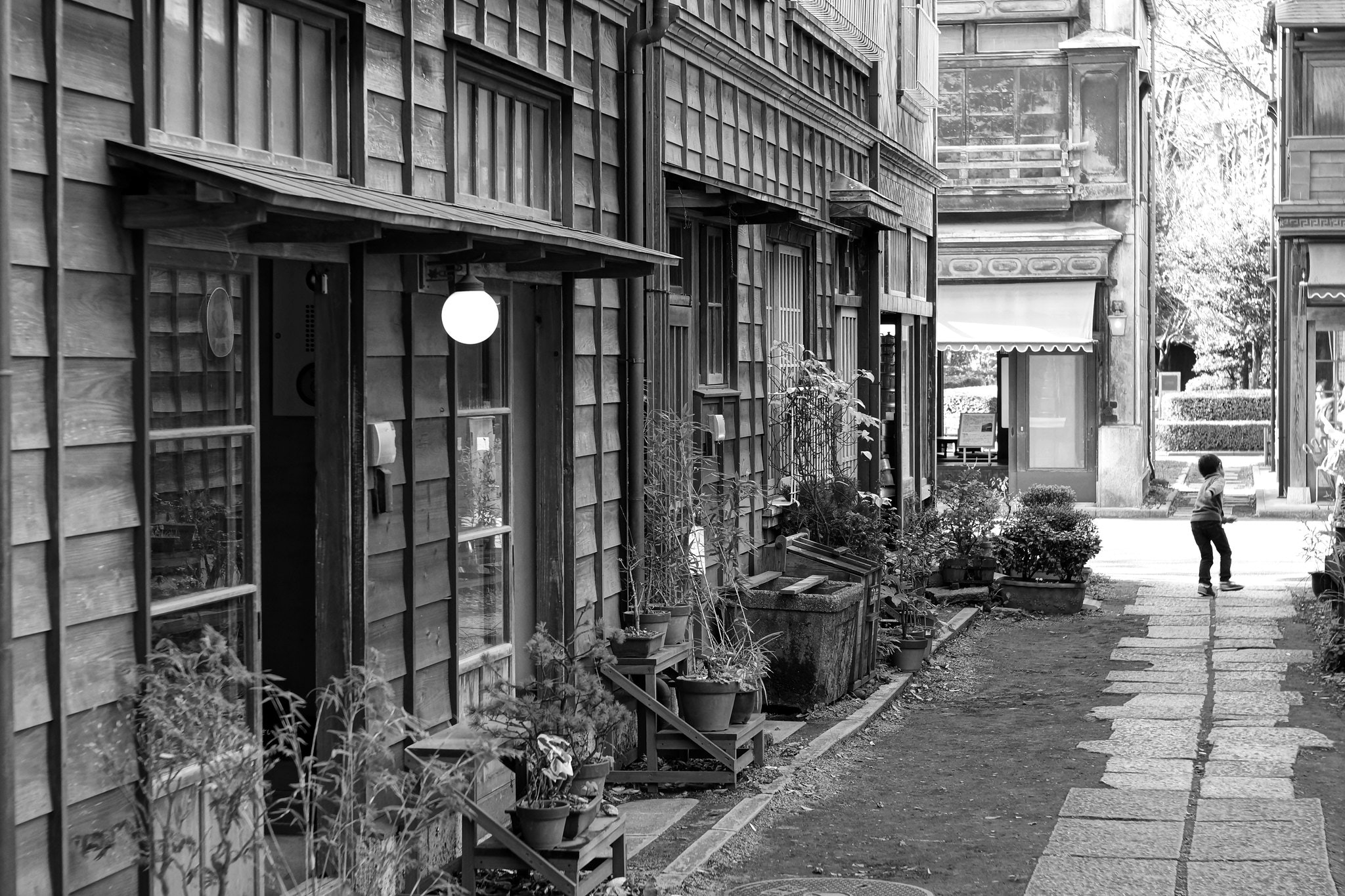 Carl Zeiss Jena Tessar 50mmF2.8を徹底解説。作例から中古相場まで