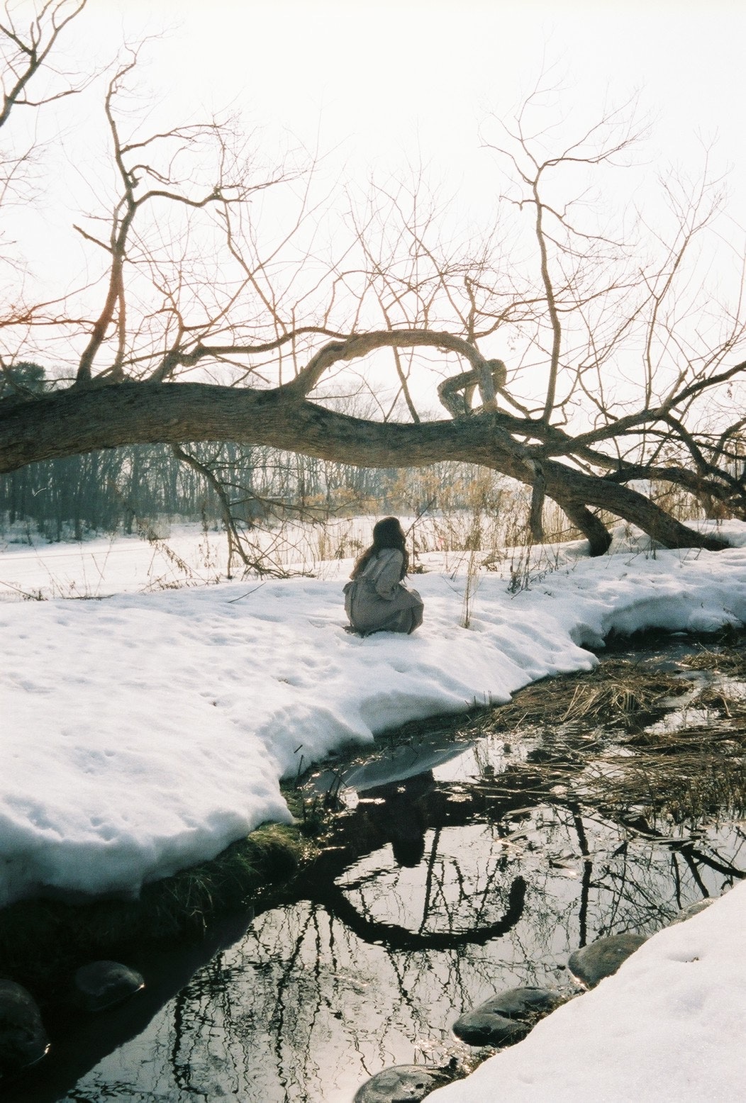 泣きたくなるほど優しく仕上がる「ナチュラクラシカ」を徹底解説。作例