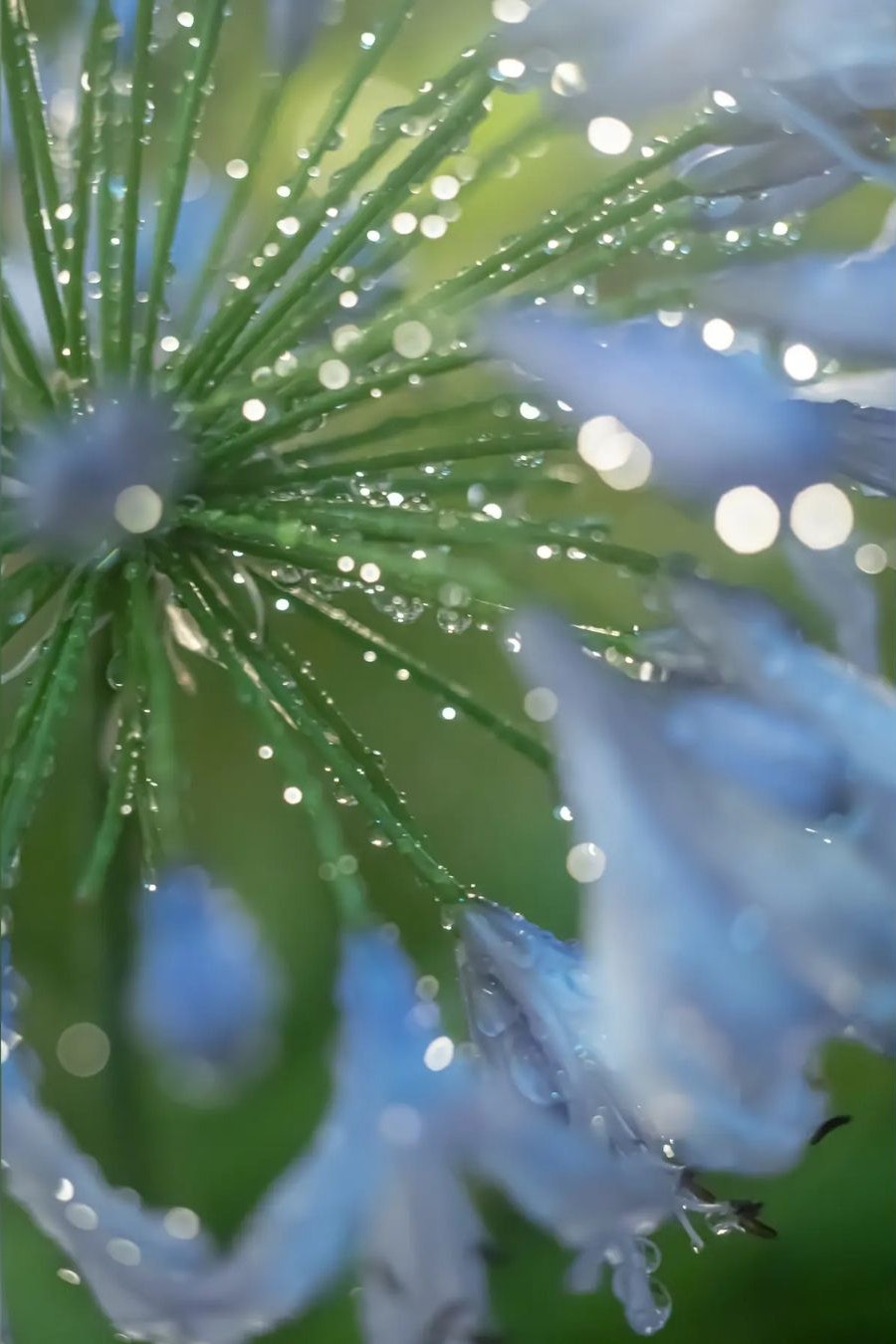 Industar-61L/Z 50mm/f2.8を徹底解説。作例から中古相場まで | ONE