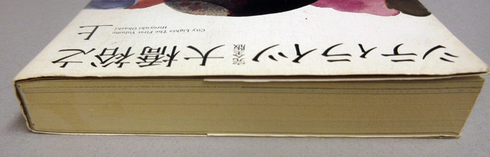 大橋裕之 直筆イラストサイン本「シティライツ完全版」上巻