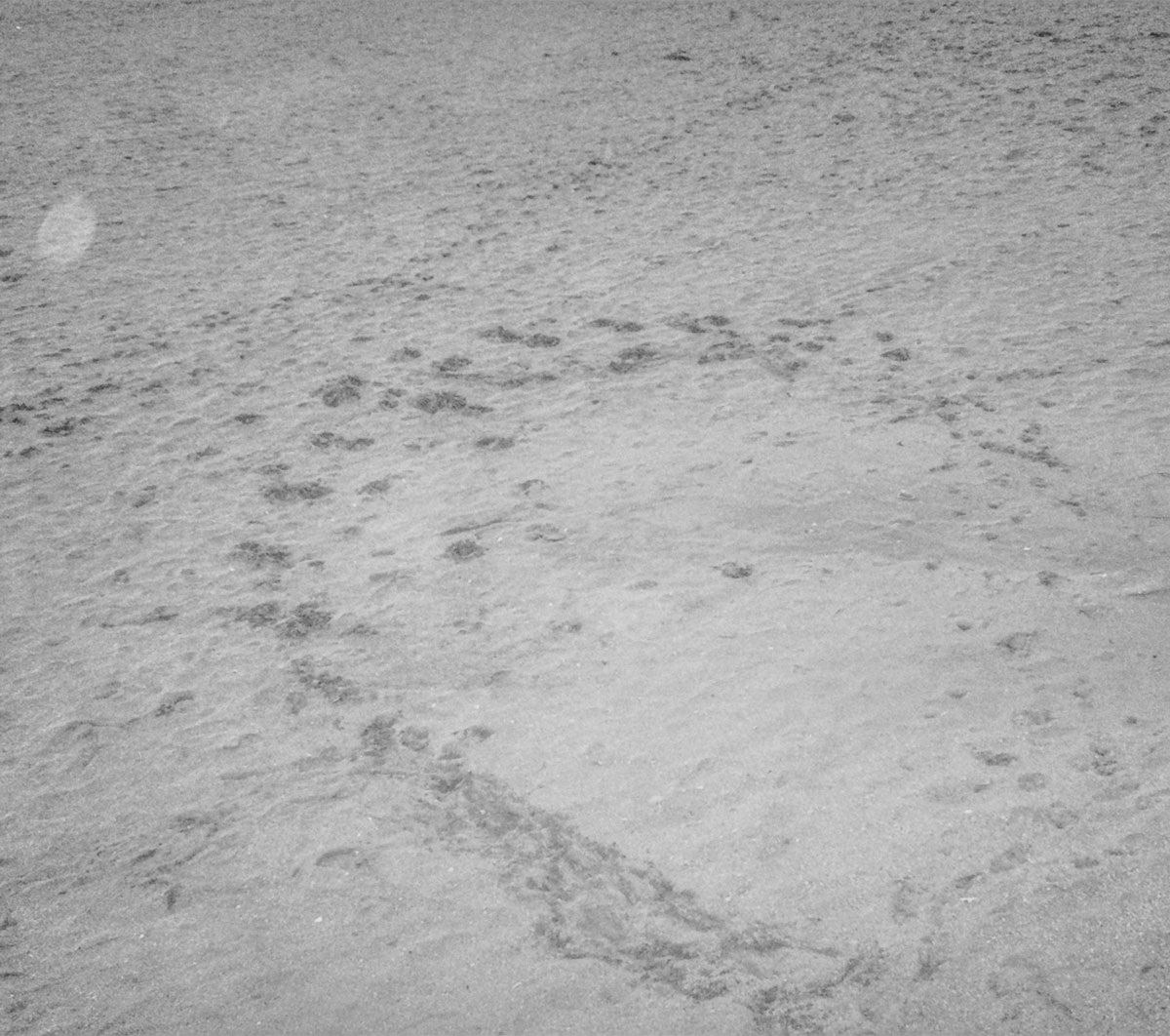 A Long Day - ミツメ