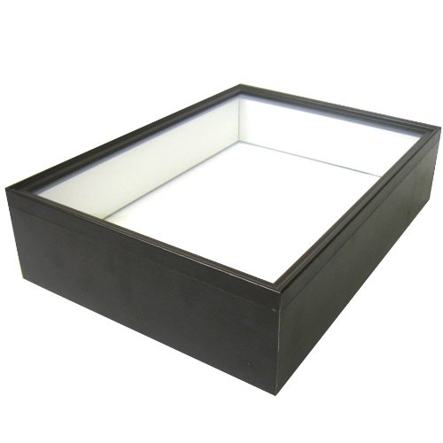 昆虫標本箱のおすすめ人気ランキング【2026年2月】 | マイベスト