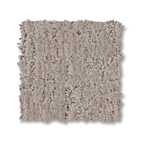 indulgent zz331 - greige Costco | Shaw Carpet: Berber, Texture