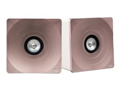 Fostex パッシブスピーカー | P802-S - コイズミ無線有限会社