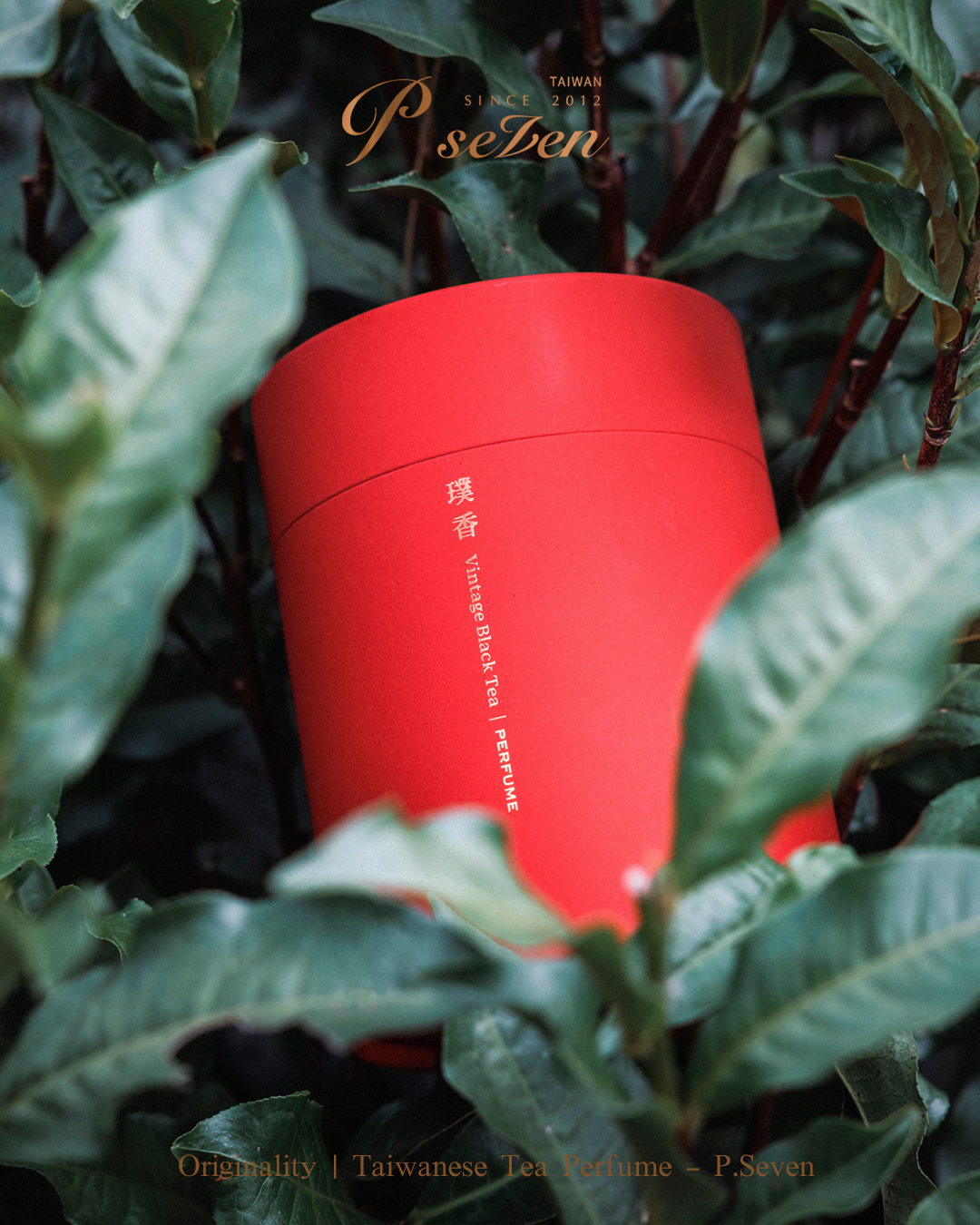 P.Seven 《 Vintage Black Tea 璞香》香水