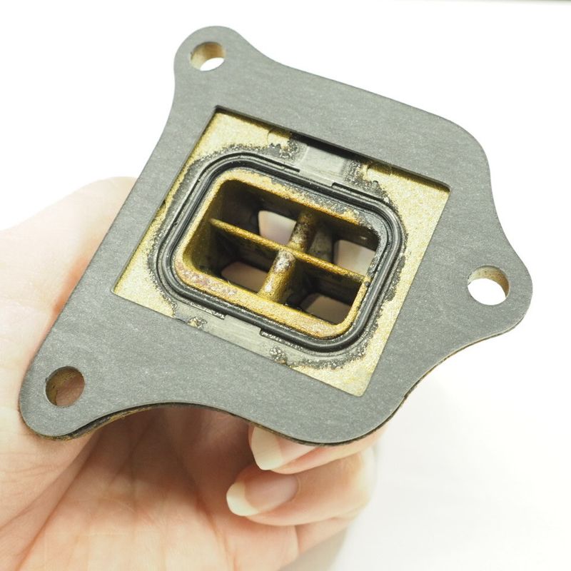 ウェビックガレージセール | ライブディオZX リードバルブ3穴タイプ