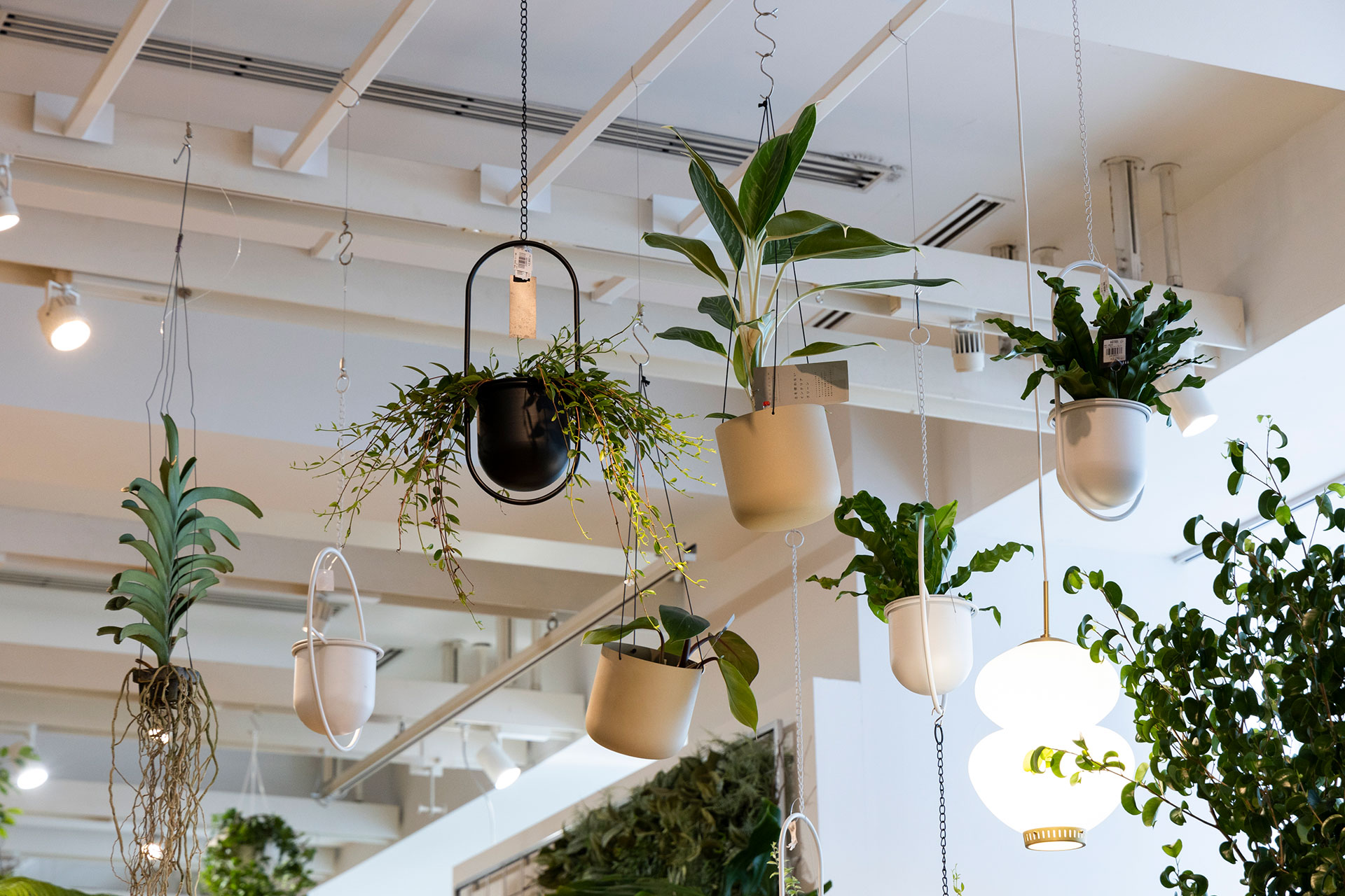 緑と家具の相性を考える〈1〉インテリアショップでグリーンを買う理由