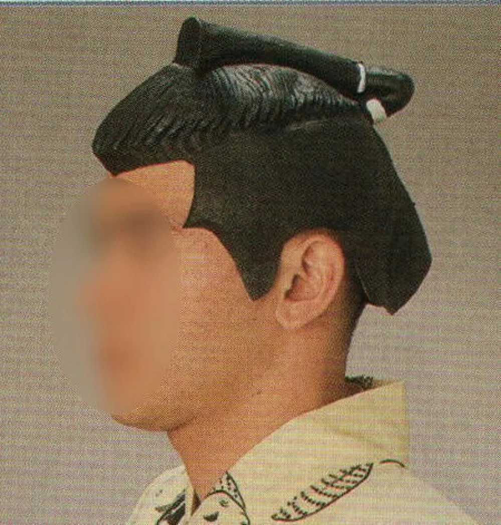 祭り用品jp 変装用かつら（股旅） 日本の歳時記 8037 祭り用品の専門店