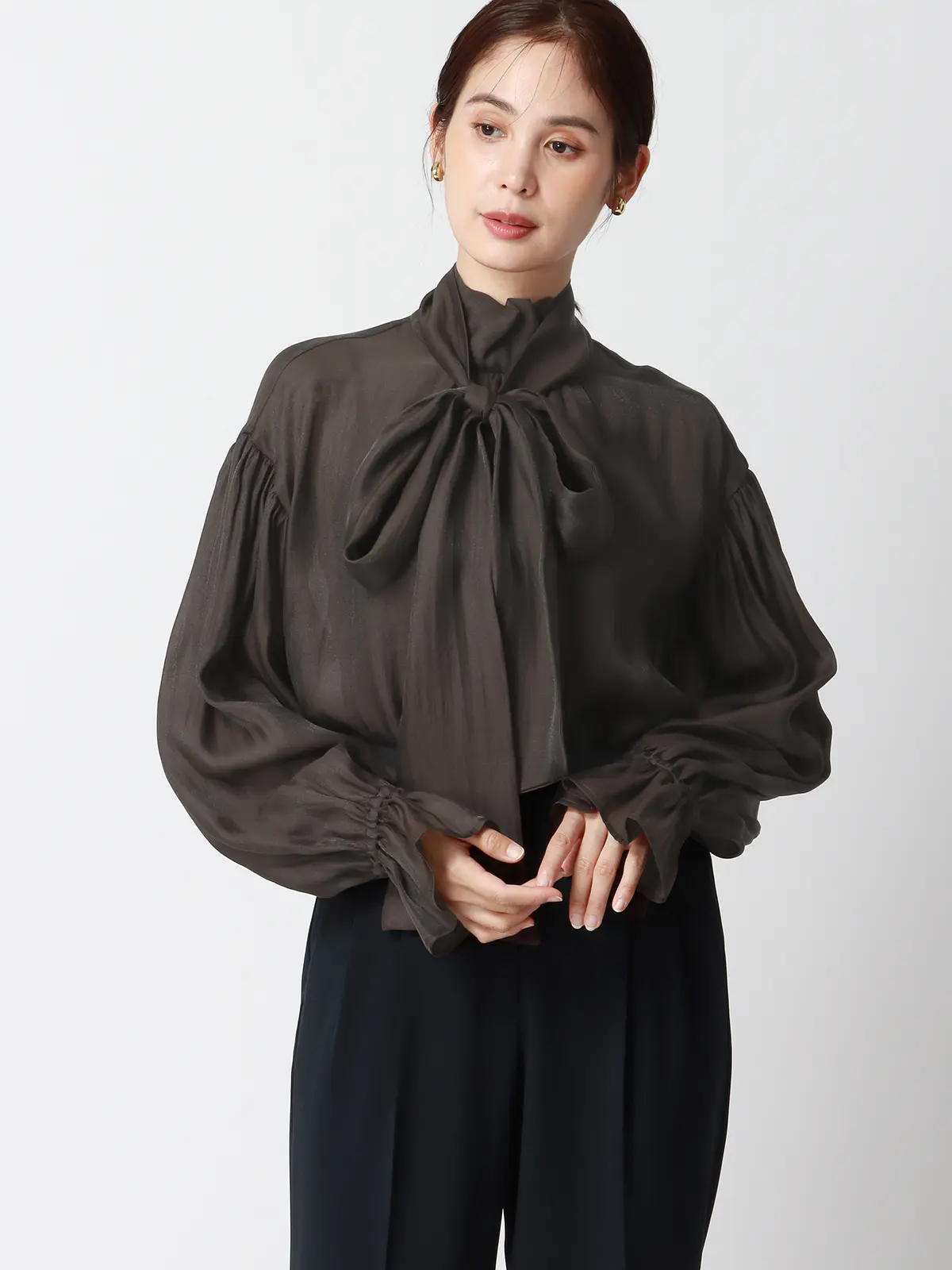 CHANTOWA／ボリュームスリーブシアーブラウス／ウォッシャブル