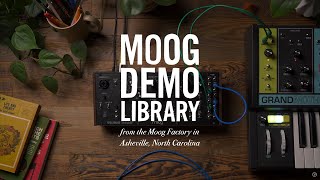 MOOG ( モーグ ) Spectravox 送料無料 | サウンドハウス