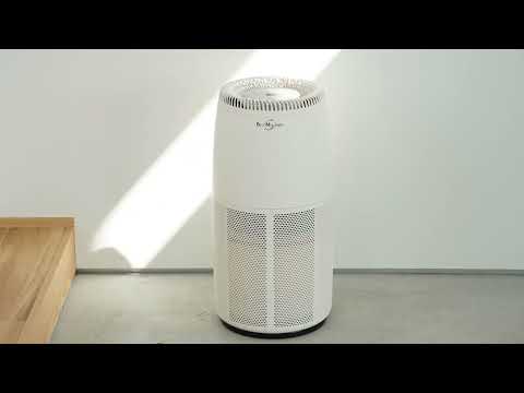 空気清浄機 バイオミクロンサークル BM-H702A [適用畳数：29畳 /PM2.5