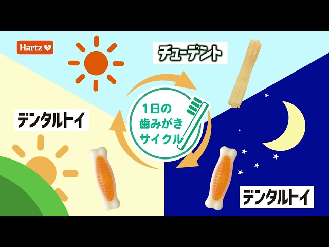 チューデント 歯みがきおもちゃ ティーザー| 愛犬用おもちゃ - Hartz