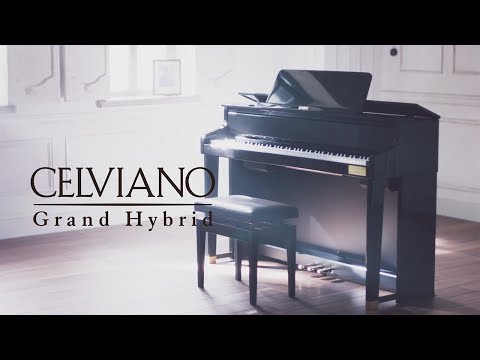 電子ピアノ GP-310BK ブラックウッド調 [88鍵盤] CASIO｜カシオ 通販