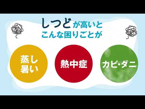 エアコン 2024年 ABKシリーズ ホワイト AN224AABKS-W [おもに6畳用