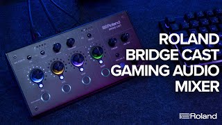 ローランド BRIDGECAST デュアル バス ゲーミングミキサー |エディオン